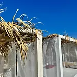 Feral 公寓 内乌姆