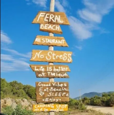 Feral Neum