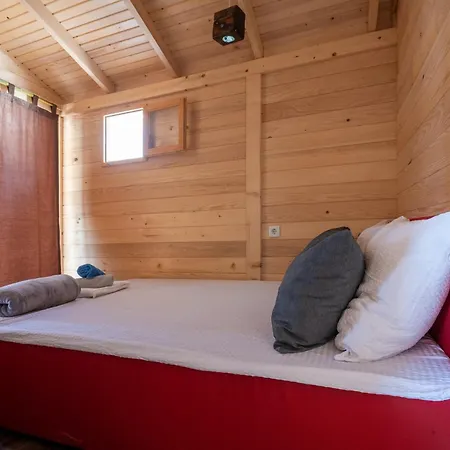 Feral Apartment Neum