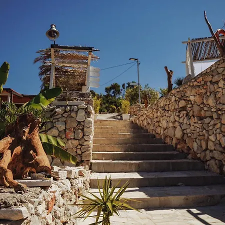 Feral * Neum