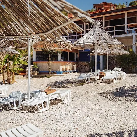 Feral Apartment Neum