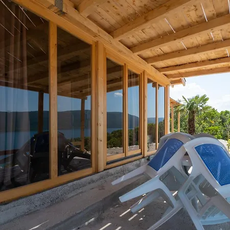 Feral *